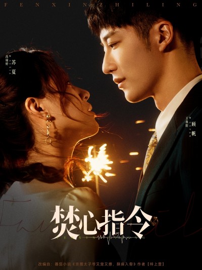 短剧《焚心指令》 高清短剧全集免费在线观，完整版尽享视听