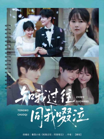短剧《知我过往同我啜泣》 免费观看！高清全集在线播放，大结局震撼揭晓！