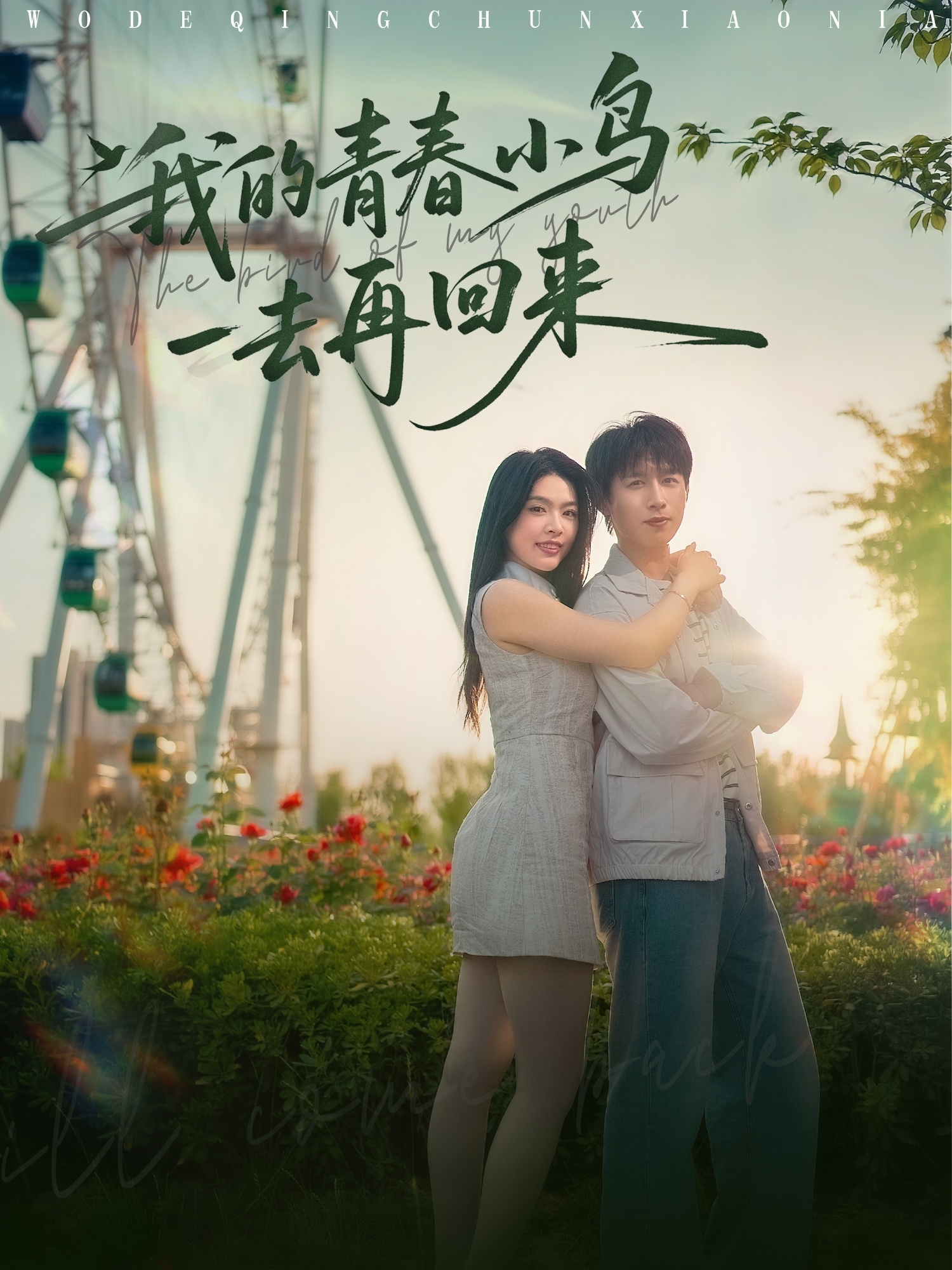 短剧《我的青春小鸟一去再回来》 高清全集！免费在线观看，大结局已完结  第1张