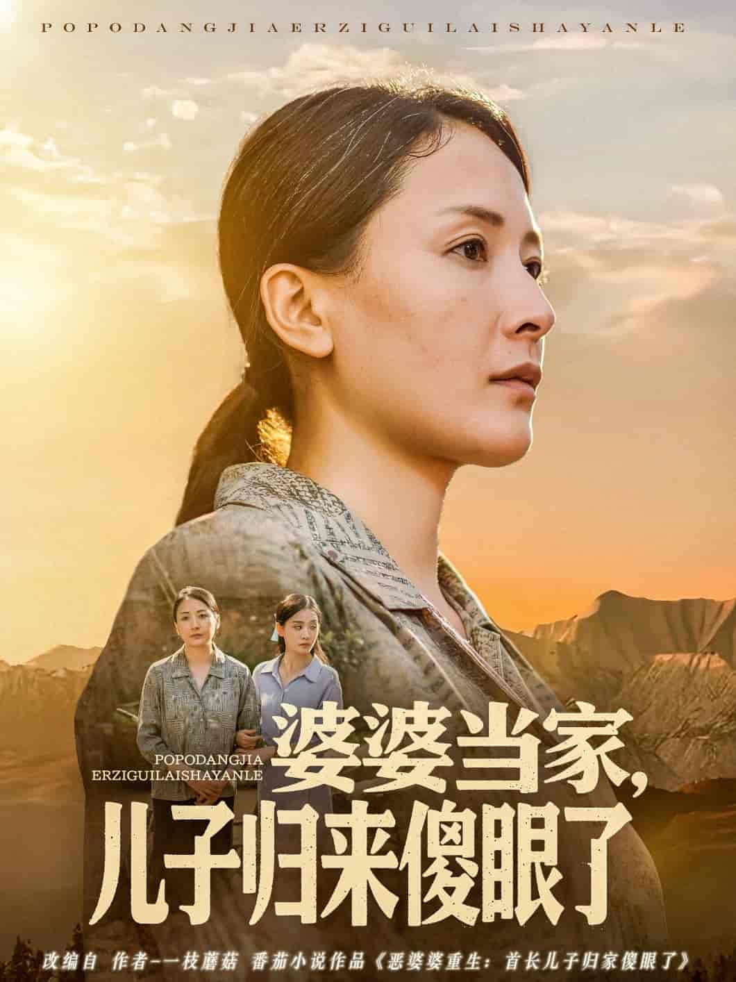 短剧《婆婆当家儿子归来傻眼了》 免费看高清全集，大结局震撼揭晓  第1张