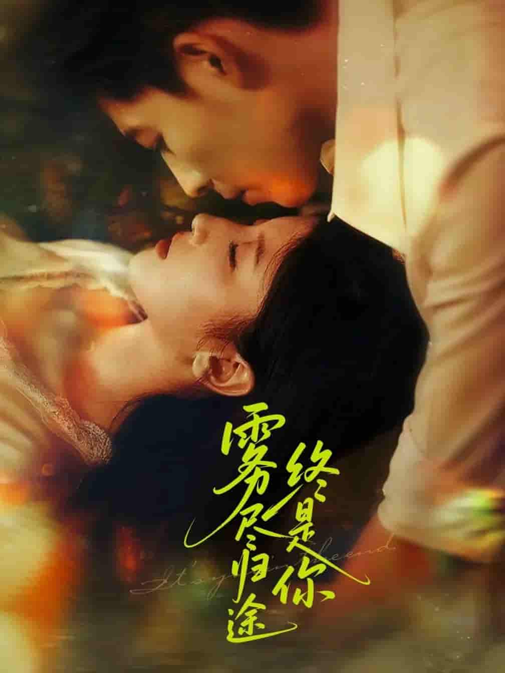 短剧《雾尽归途终是你》 免费看高清全集，大结局震撼来袭  第1张