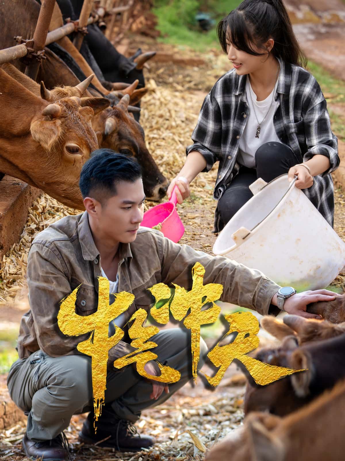 想看小人物逆袭的励志爽剧？牛气冲天高清全集完整版免费在线看！讲述乡村青年阿牛靠勤劳智慧养牛创业，从穷小子变身牛老板，带领村民致富的热血故事。剧情真实接地气，反转不断，无删减高清画质，手机、电视都能追，赶紧来看这个牛气冲天的奋斗剧！
