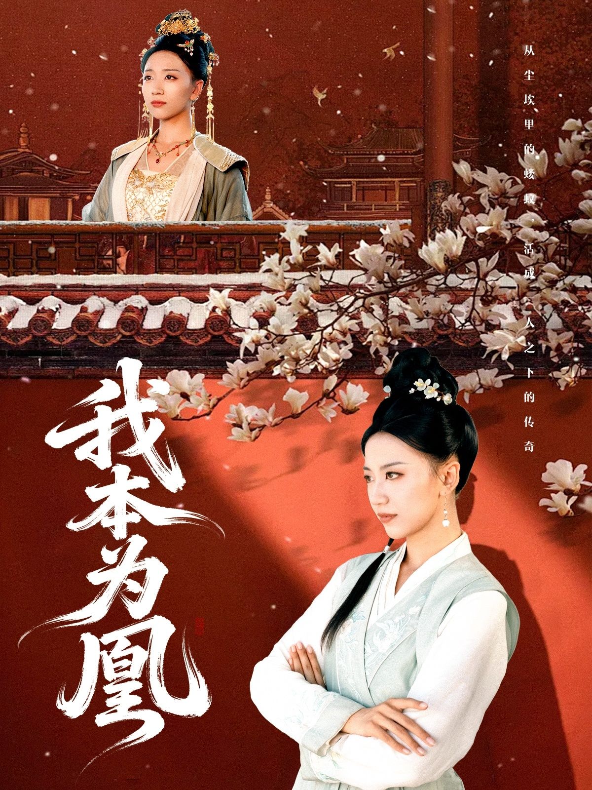 古风逆袭短剧我本为凰来了！废柴嫡女觉醒凰命，手撕仇敌、执掌乾坤，逆袭打脸爽感爆棚！1080P高清画质，每一帧都是视觉盛宴；全集完整在线，无广告插播，一次看过瘾！点击播放，看凤凰涅槃，逆天改命！  第1张