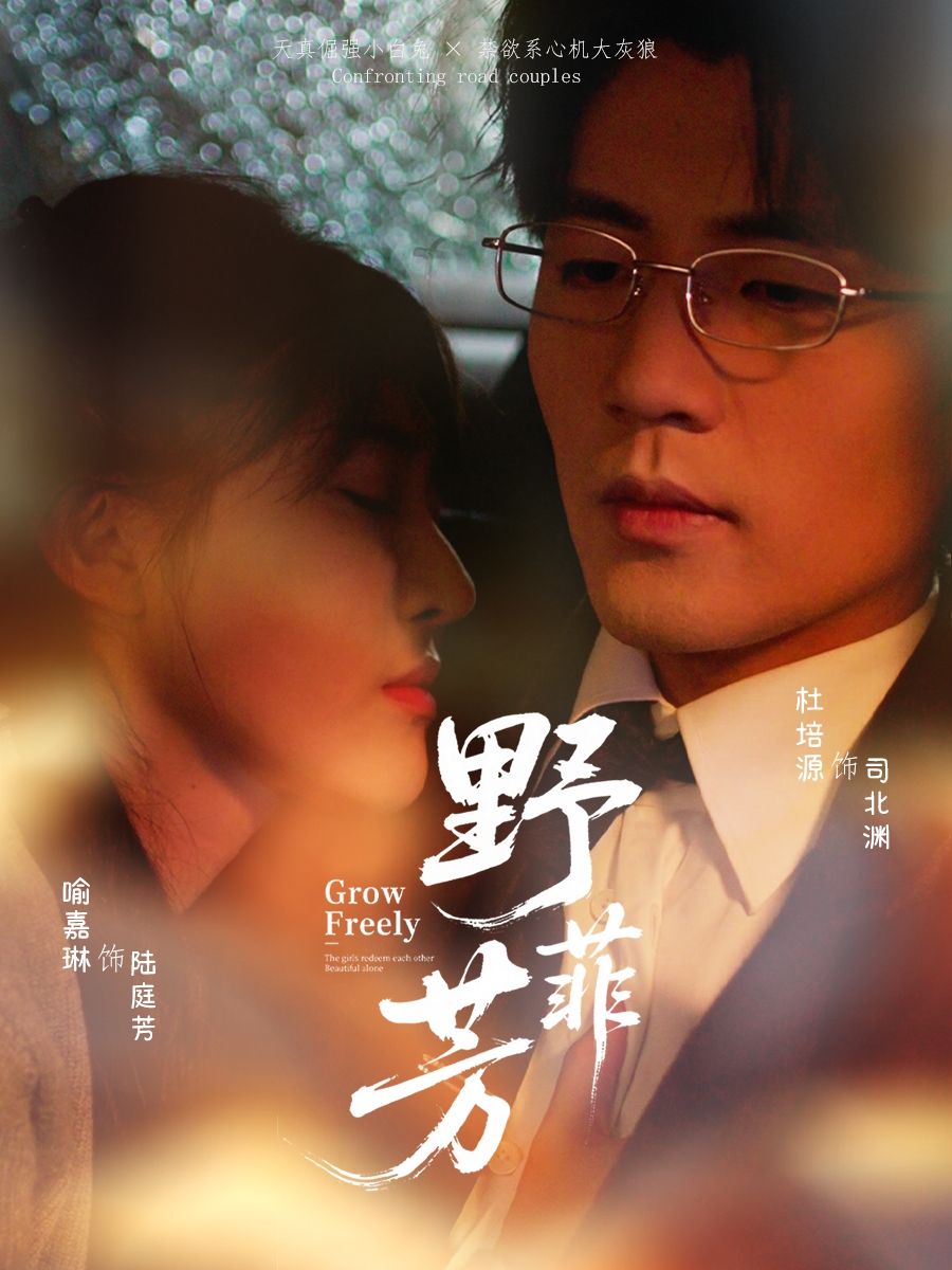 短剧野芳菲HD高清无删减全集在线播放，1080P极致画质还原田园青春。少女在野芳丛中追寻成长，细腻情感与自然风光交织，每一帧都藏着未说出口的心事。全集无删减更完整，沉浸式感受野芳菲的治愈与热烈，值得一看。  第1张