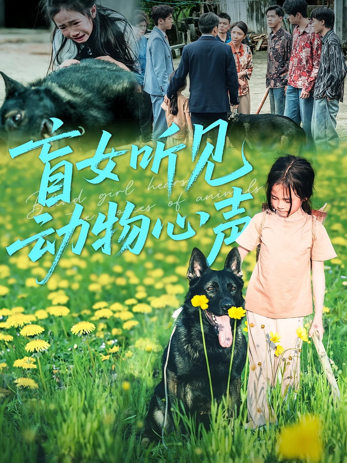 短剧盲女听见动物心声讲述盲女意外获得听懂动物心声的能力，与流浪猫小狗并肩破解悬案、温暖治愈他人的暖心故事。高清画质呈现细腻情感，全集无删减，完整展现人与动物的奇妙羁绊。立即在线观看，沉浸式体验这场充满爱与勇气的奇幻之旅。