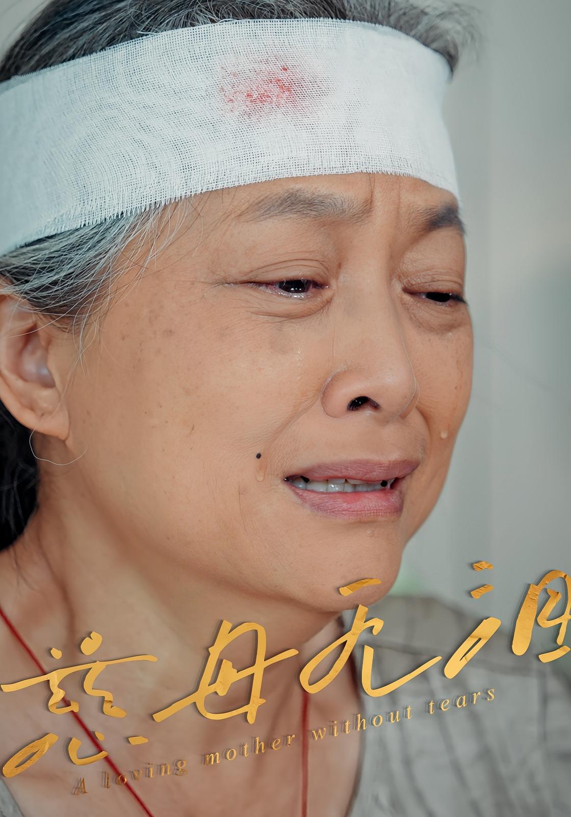 短剧《慈母无泪》 全集免费在线，高清画质，大结局震撼揭晓,慈母,第1张