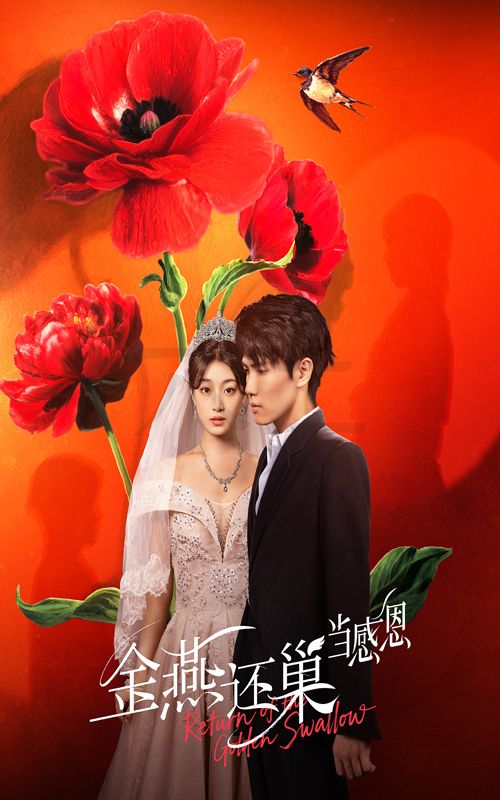 短剧 《金燕还巢当感恩》 高清完整全集免费在线观看无广告，情感与感恩，金燕的回声,短剧 《金燕还巢当感恩》 高清完整全集免费在线观看无广告，情感与感恩，金燕的回声,金燕还巢当感恩,第1张