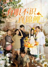 短剧有眼不识真锦鲤免费在线看，高清全集无删减版，即刻畅享！,有眼不识真锦鲤,第1张