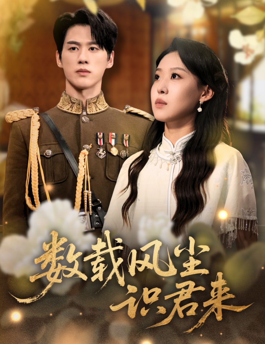 短剧 《数载风尘识君来》 高清完整全集在线观看