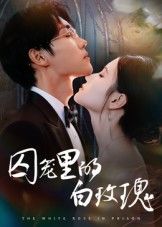 短剧囚笼里的白玫瑰HD超高清全集完整版在线观看1080P。纯白玫瑰在冰冷囚笼中挣扎，是命运的枷锁还是心灵的救赎？全集完整呈现，1080P超高清画质，细腻捕捉每一丝情感张力，带你沉浸式体验这场关于自由与爱的极致碰撞。  第1张