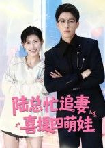 短剧 《陆总忙追妻喜提四萌娃》 观看 1080P 超高清全集完整版  第1张