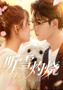 热门短剧听雪灼烧（68集）主演希尔力、刘美娜，全集完整版免费播放在线观看！未删减版资源震撼上线，百度网盘、夸克网盘免费资源分享下载，精彩剧情一键解锁，速来围观！  第1张