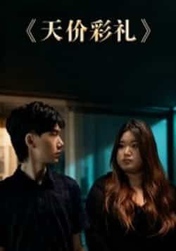 热门短剧《天价彩礼》 全集完整版免费在线观看播放未删减版资源，短剧百度网盘夸克网盘免费资源分享下载