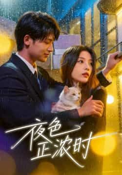 热门短剧《夜色正浓时》 全集完整版实时更新免费在线观看播放未删减版资源，短剧百度网盘夸克网盘免费资源分享下载