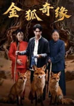 热门短剧《金狐奇缘》 全集完整版免费无水印在线观看播放未删减版资源,短剧百度网盘夸克网盘免费资源分享下载 第1张 热门短剧《金狐奇缘》 全集完整版免费无水印在线观看播放未删减版资源,短剧百度网盘夸克网盘免费资源分享下载 第1张