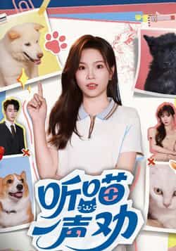 热门短剧听喵一声劝全集完整版免费在线观看!未删减高清资源,剧情精彩不容错过。支持百度网盘、夸克网盘免费资源下载分享,随时随地畅追全剧,轻松获取无广告观看体验,喜欢的小伙伴速速收藏!