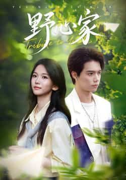 热门短剧野心家全集完整版免费无水印在线观看,未删减版资源来袭!支持百度网盘、夸克网盘免费资源分享下载,轻松获取全集内容,无广告打扰,画质清晰,不错过任何精彩剧情。快来获取资源,沉浸式观看这场野心与博弈的精彩故事吧!