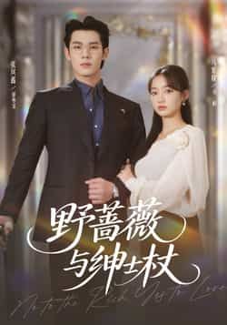 热门短剧野蔷薇与绅士杖全集完整版免费看！无卡顿在线播放，未删减版资源高清呈现。百度网盘、夸克网盘免费分享下载，流畅追更无广告，赶紧收藏解锁甜虐剧情！